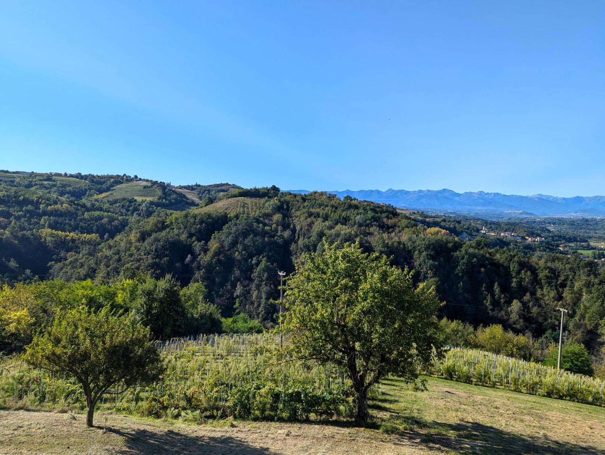 Casa Felice Villa Farigliano Екстериор снимка